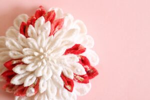 【母を女優にする】体験投稿