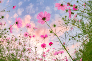 おいらく取材シリーズ「私へのメッセージ」No2